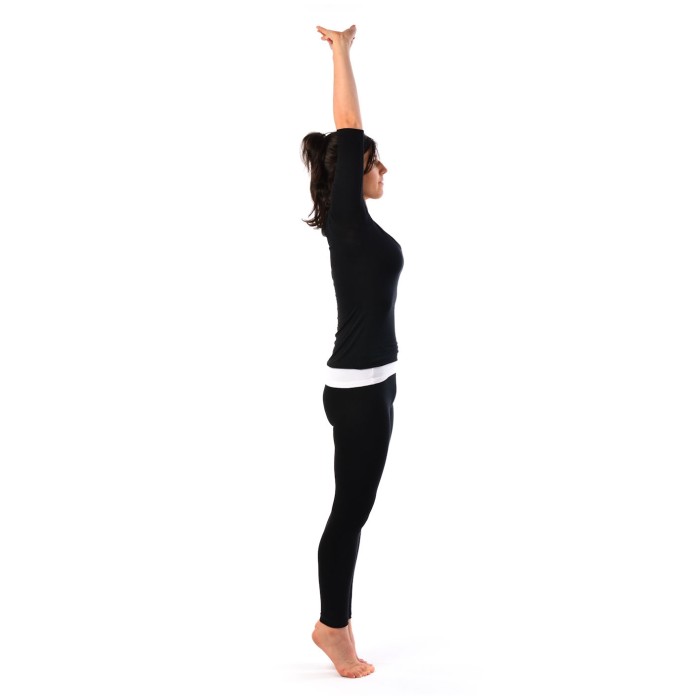 Palm Tree Pose Tadasana2 Tampil Cantik 9919